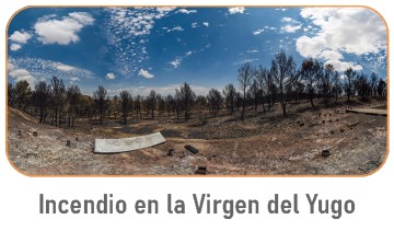 Incendio Virgen del Yugo - Arguedas